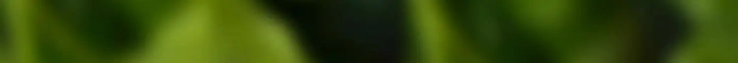 Small-sized Electric Watering Can for Plant Care and Disinfection