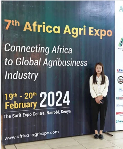 Widely Used Chain Saw 2 Stroke Chain Saw Cordless Woodworking Automatic Chainsaws Big Power Chainsaw