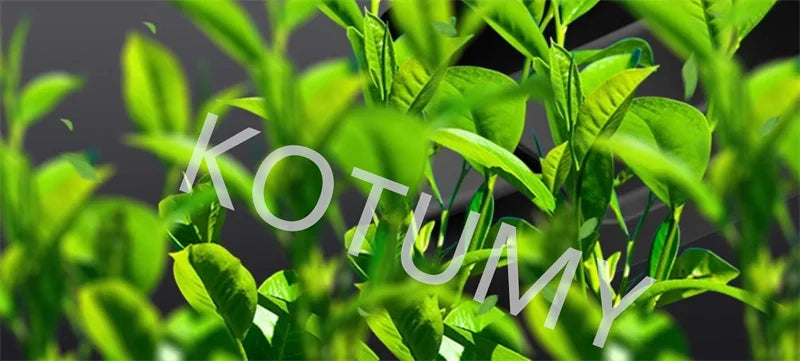 Household Electric Lawn Mower Brushless Motor Cordless Cutter Weeder 21V Rechargeable For Garden Lawn Trimming Pruning Tools