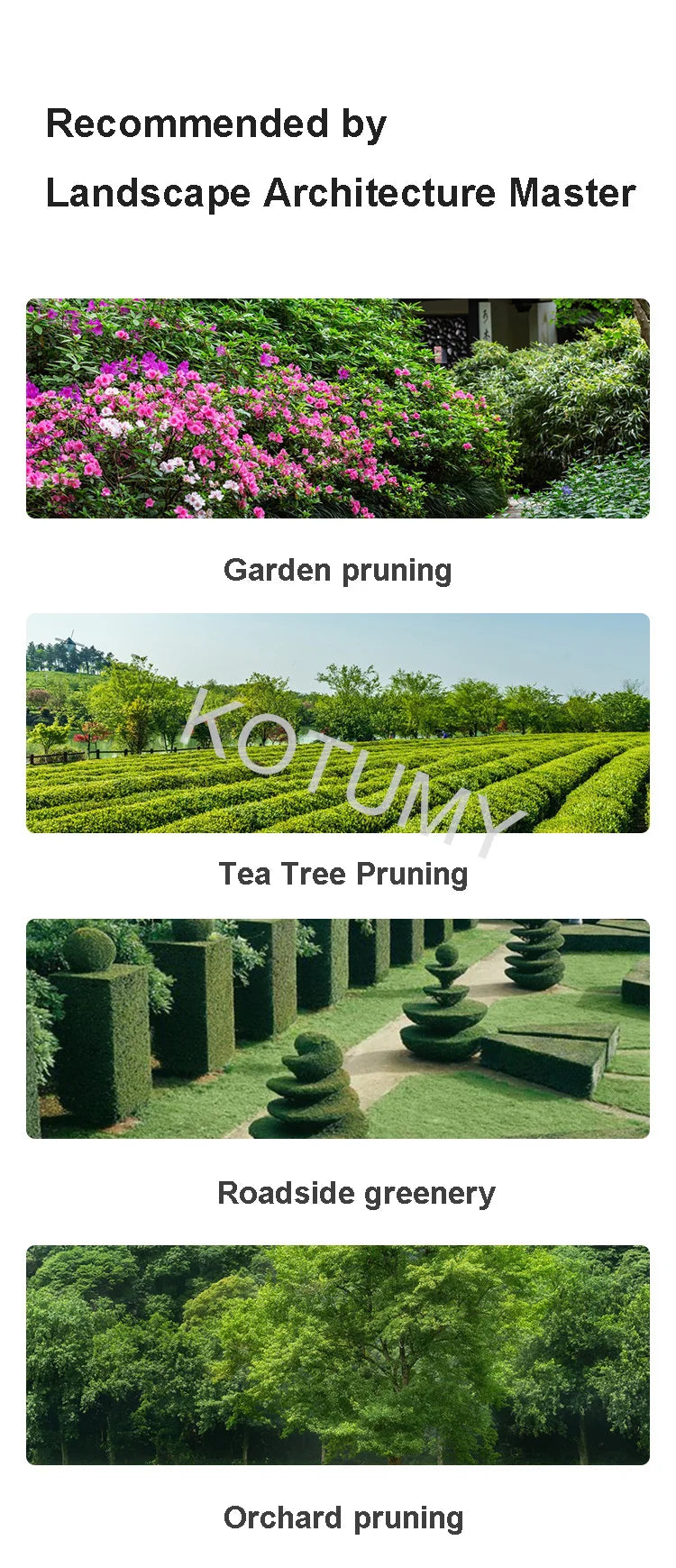 Hedge Trimmer Gasoline Shears Single/Double-Edged Tea Tree Pruning Machine Tea Picking Machine Green Garden Pruning Hedge Trimme